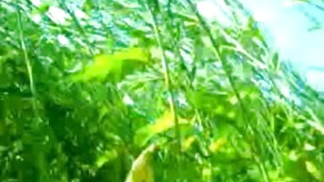 பொன்னிற ஆபாச நட்சத்திரம் மேல்
